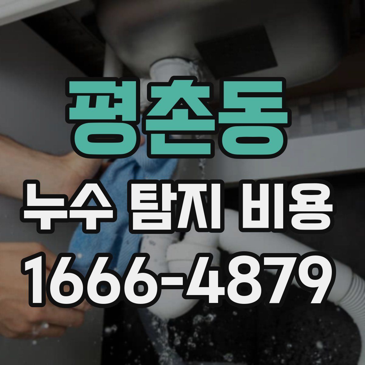 평촌동 누수 탐지 비용