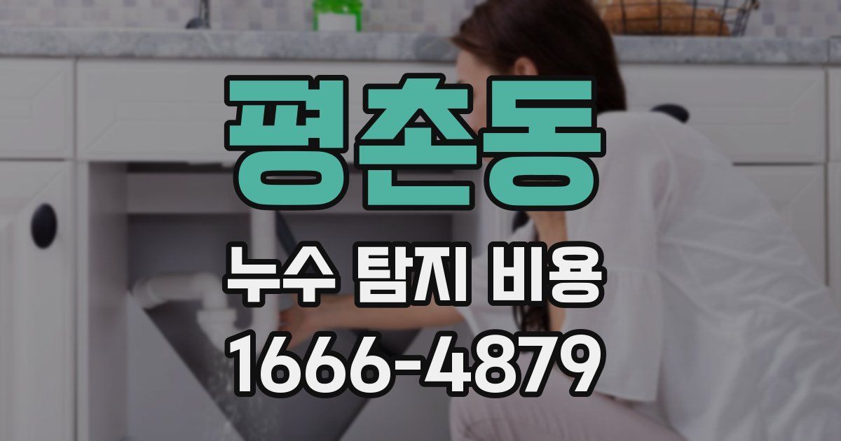 평촌동 누수 탐지 비용