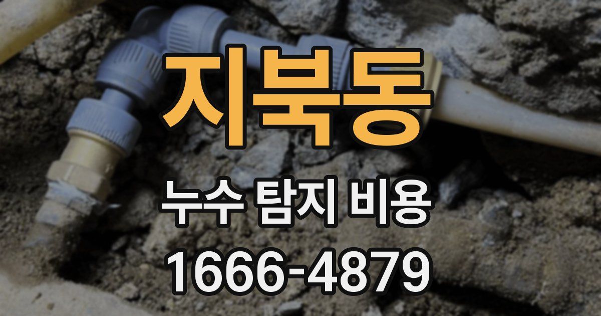 지북동 누수 탐지 비용