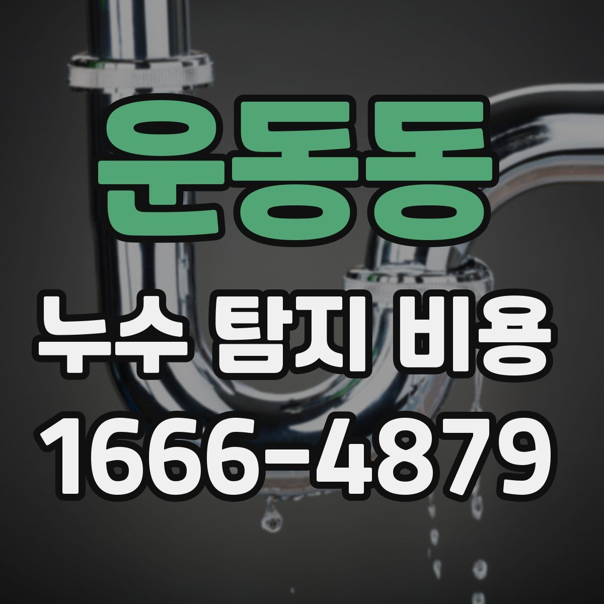 운동동 누수 탐지 비용