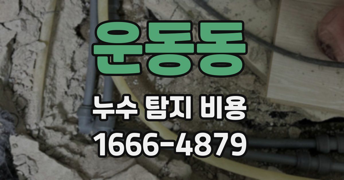 운동동 누수 탐지 비용