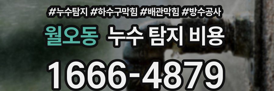 월오동 누수 탐지 비용