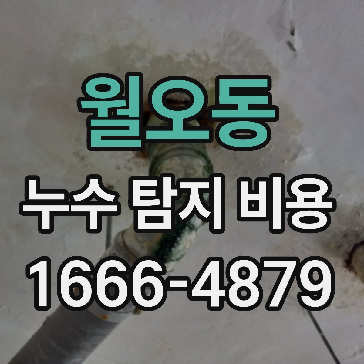 월오동 누수 탐지 비용