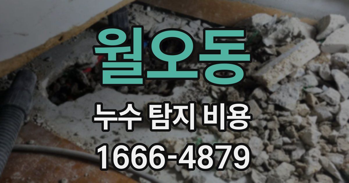월오동 누수 탐지 비용