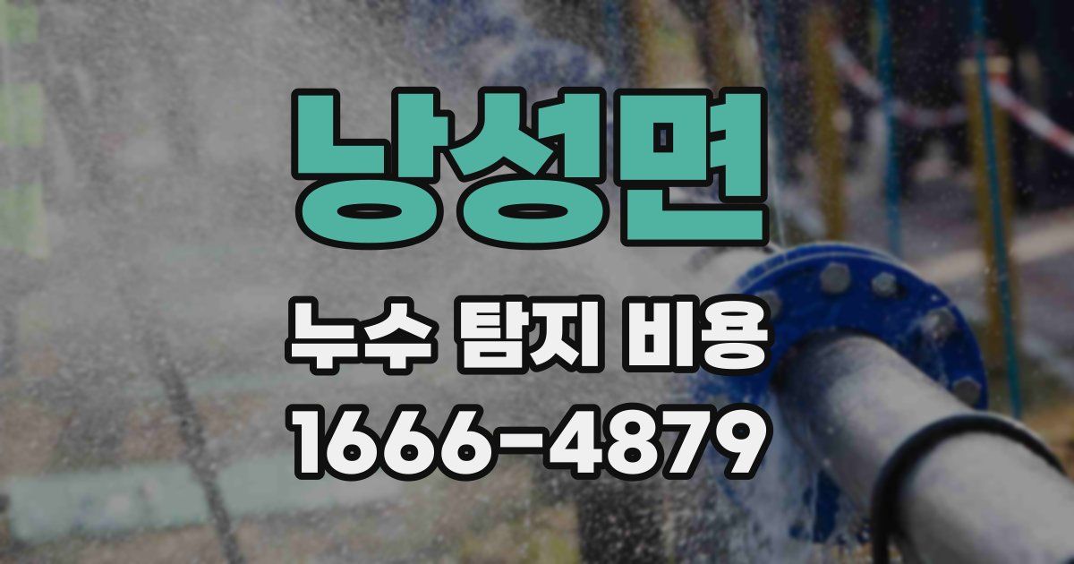 낭성면 누수 탐지 비용
