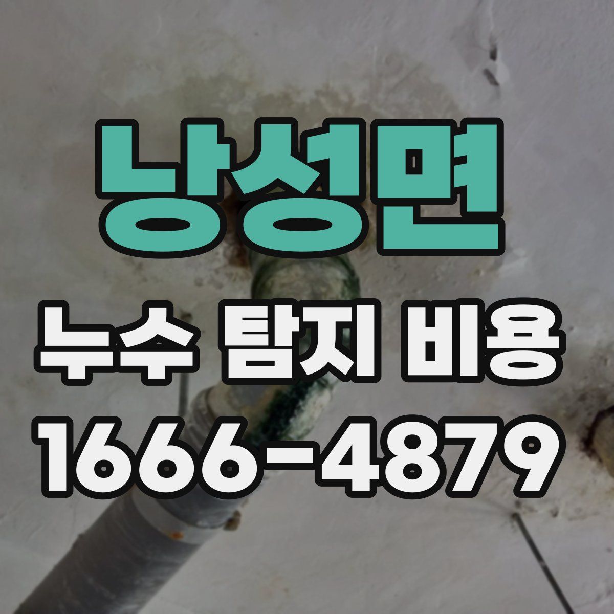 낭성면 누수 탐지 비용