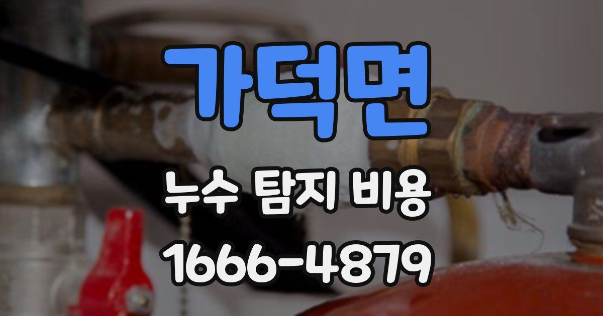 가덕면 누수 탐지 비용