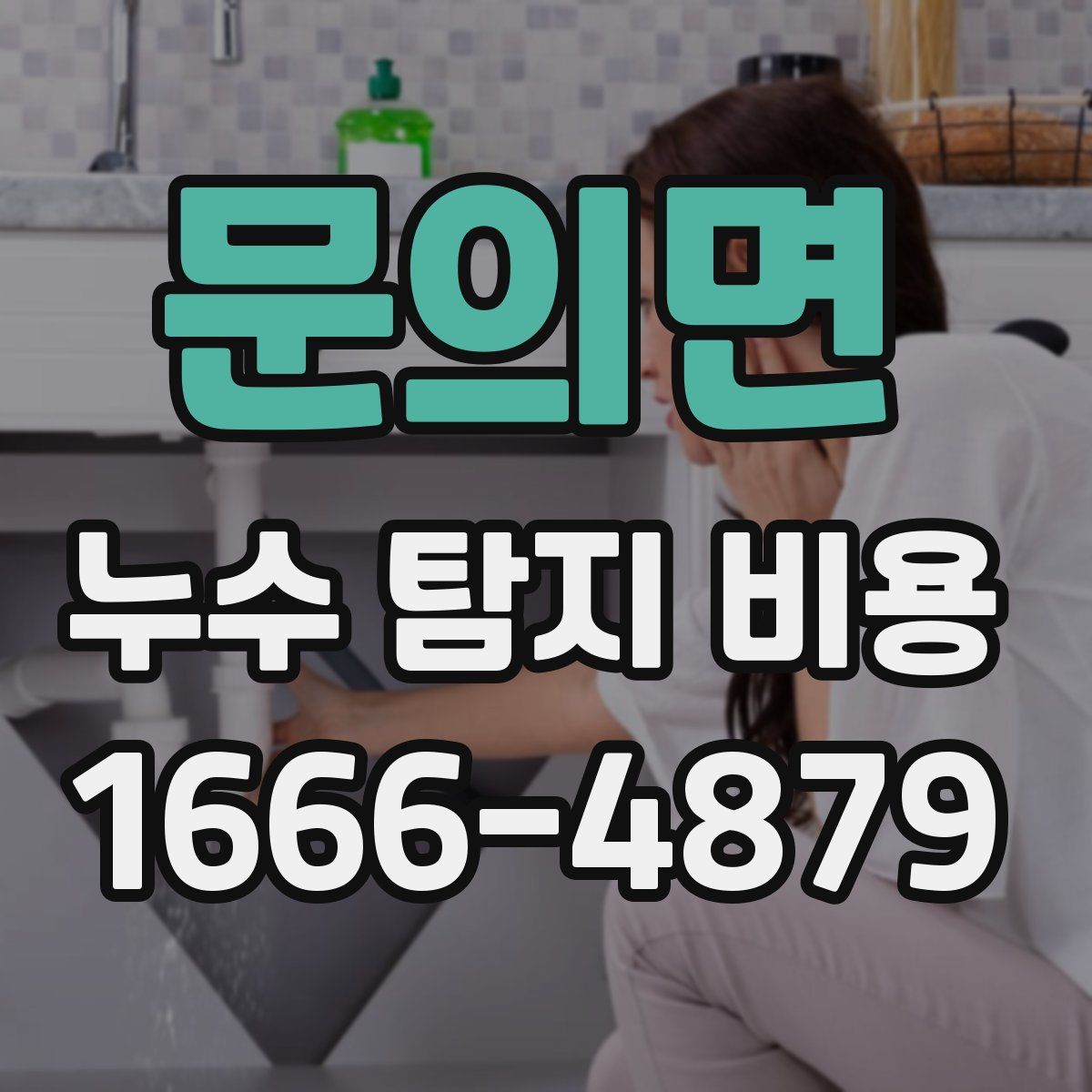문의면 누수 탐지 비용