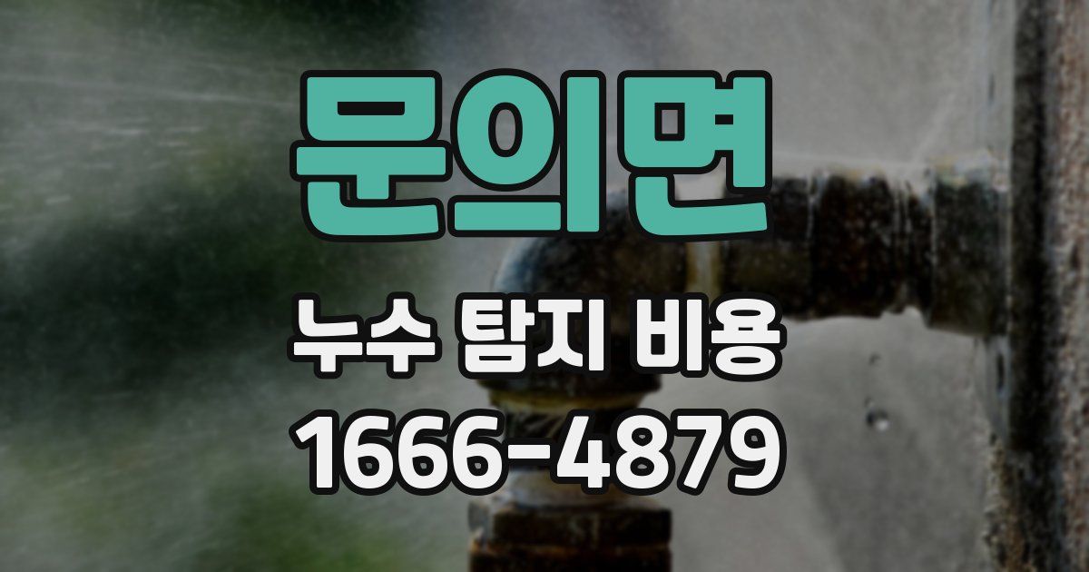 문의면 누수 탐지 비용