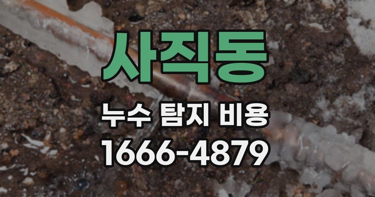 사직동 누수 탐지 비용