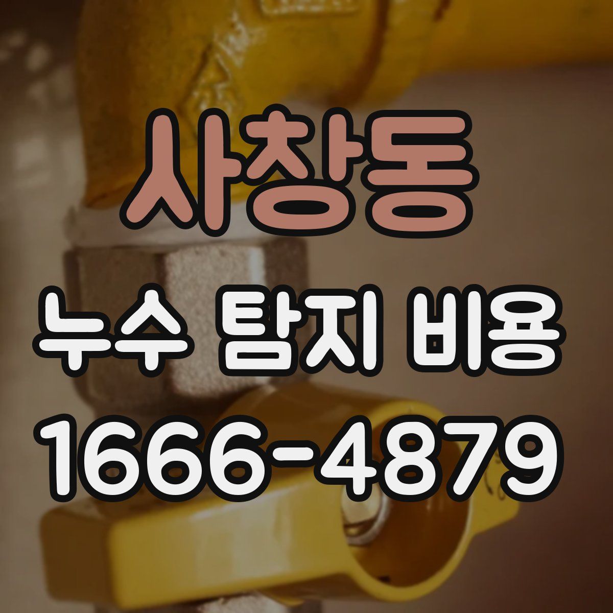사창동 누수 탐지 비용