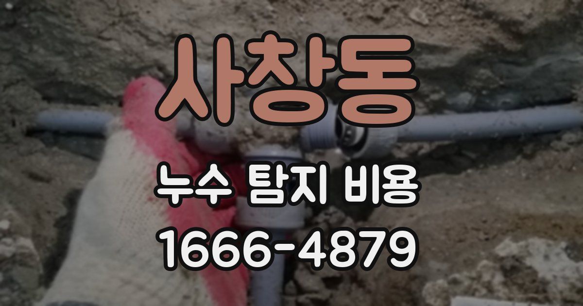 사창동 누수 탐지 비용