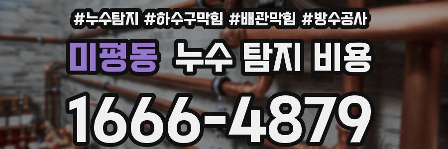 미평동 누수 탐지 비용