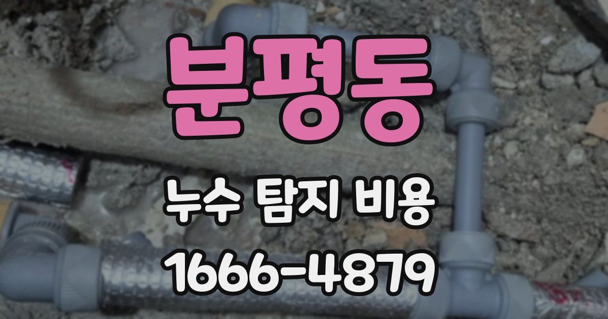 분평동 누수 탐지 비용