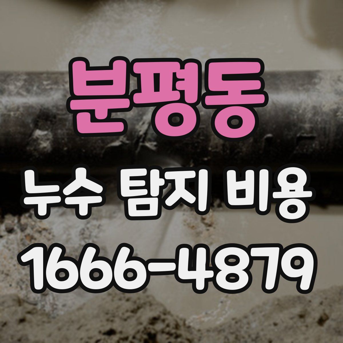 분평동 누수 탐지 비용