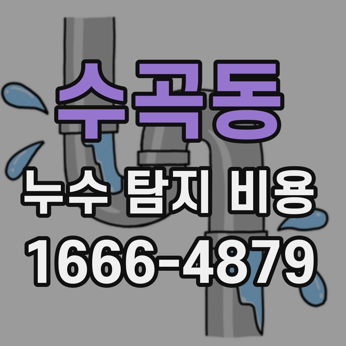 수곡동 누수 탐지 비용