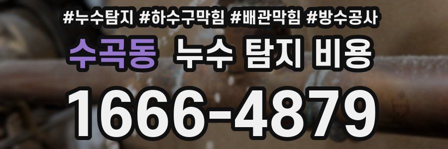 수곡동 누수 탐지 비용