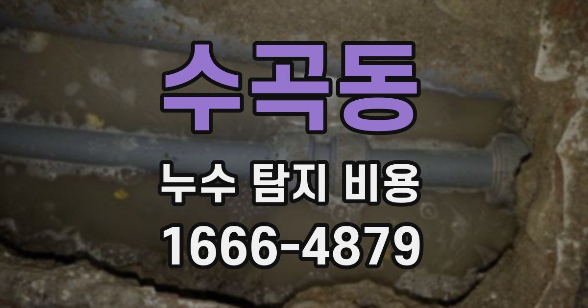 수곡동 누수 탐지 비용