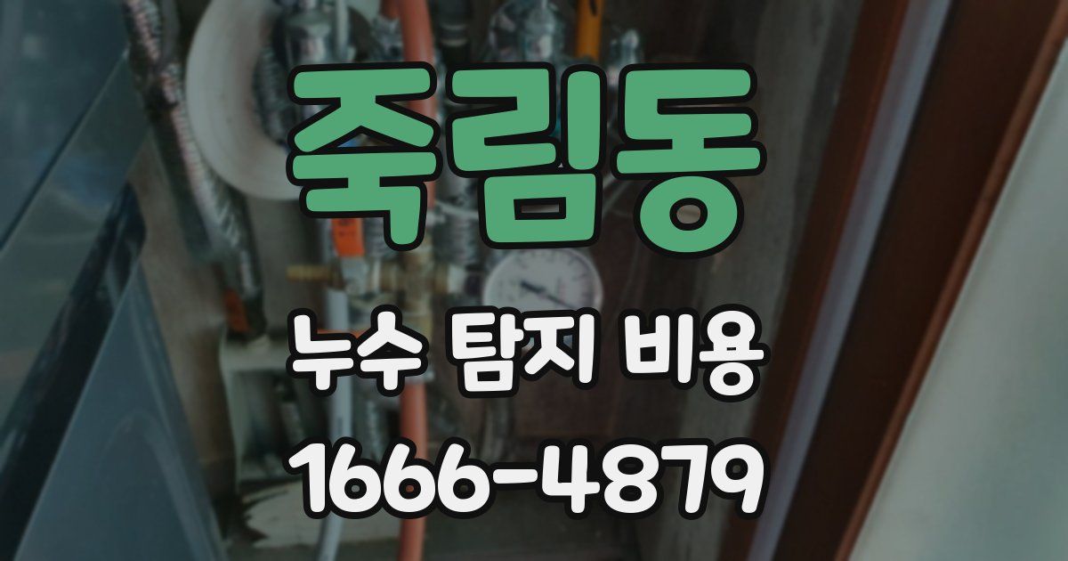 죽림동 누수 탐지 비용