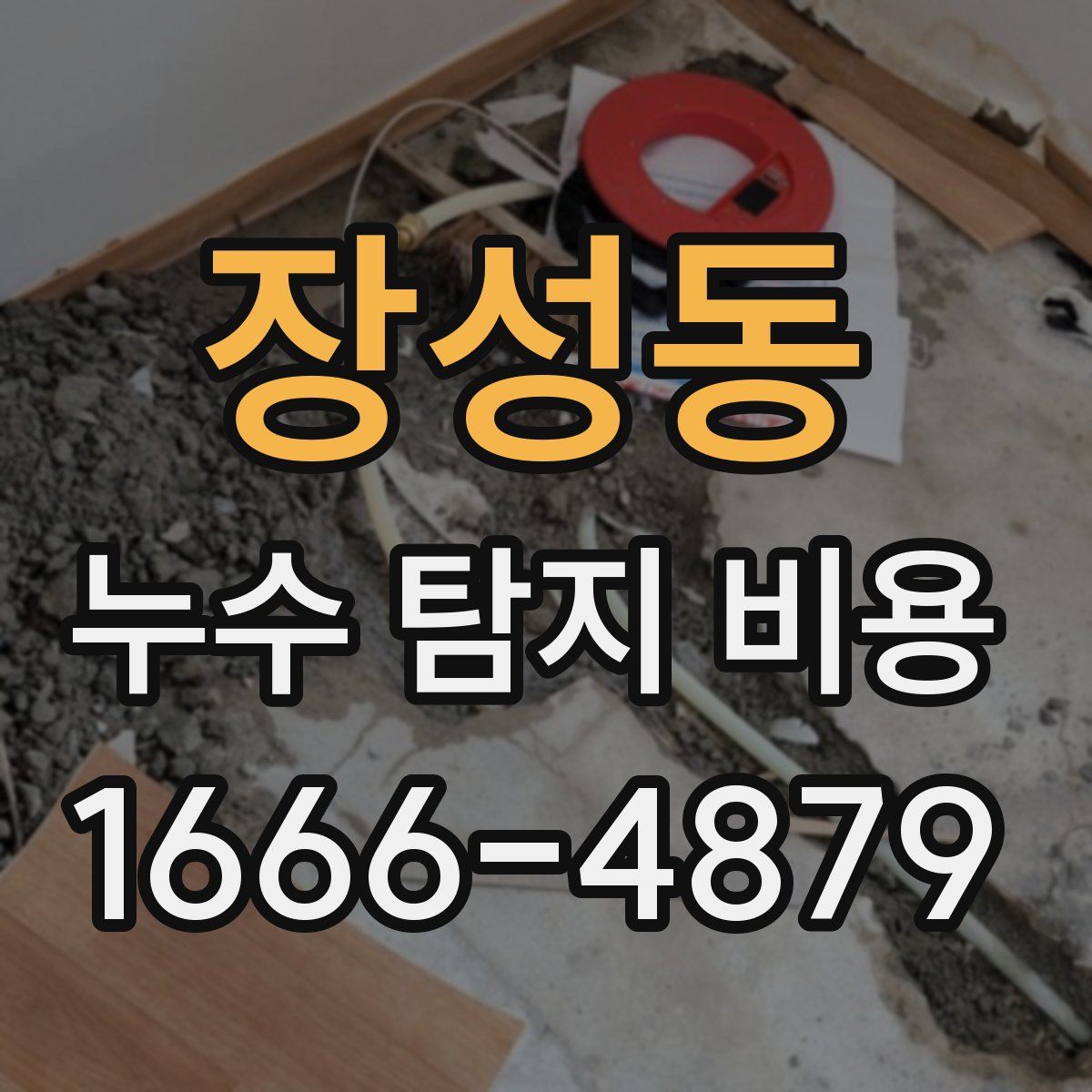 장성동 누수 탐지 비용