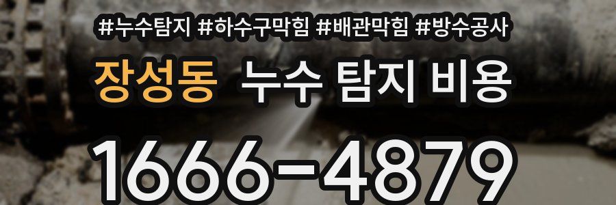 장성동 누수 탐지 비용