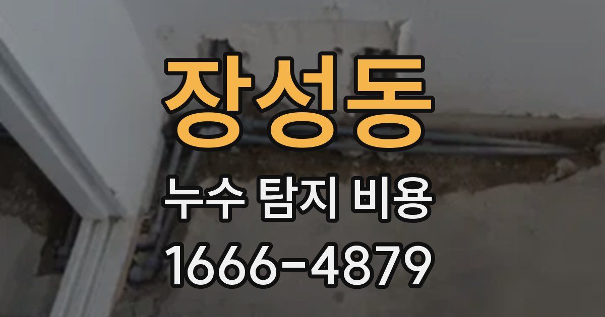 장성동 누수 탐지 비용