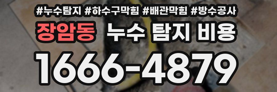 장암동 누수 탐지 비용