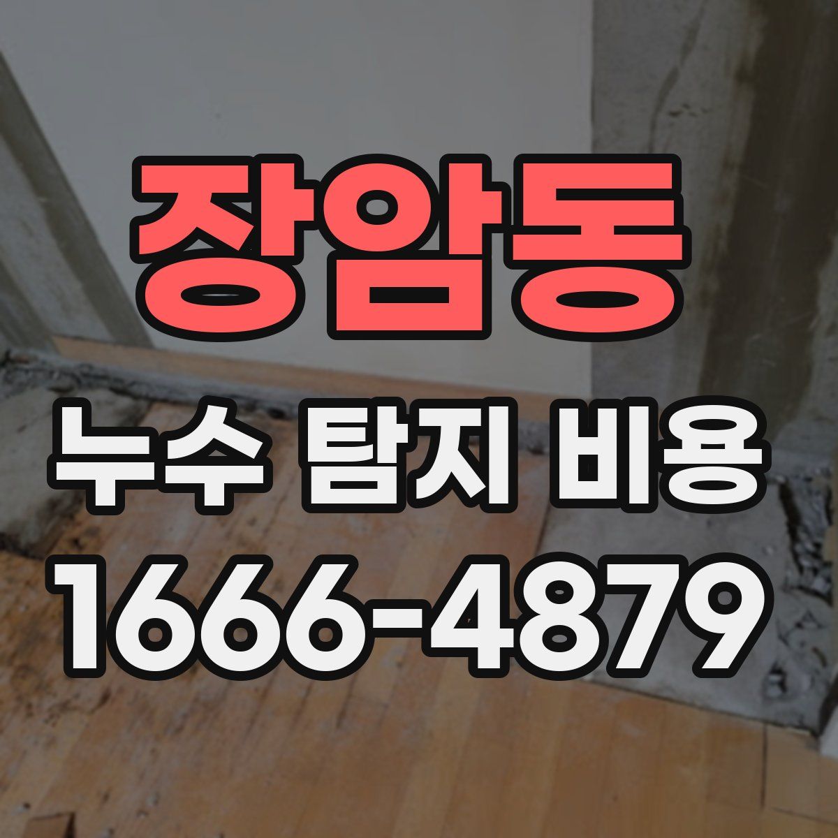 장암동 누수 탐지 비용