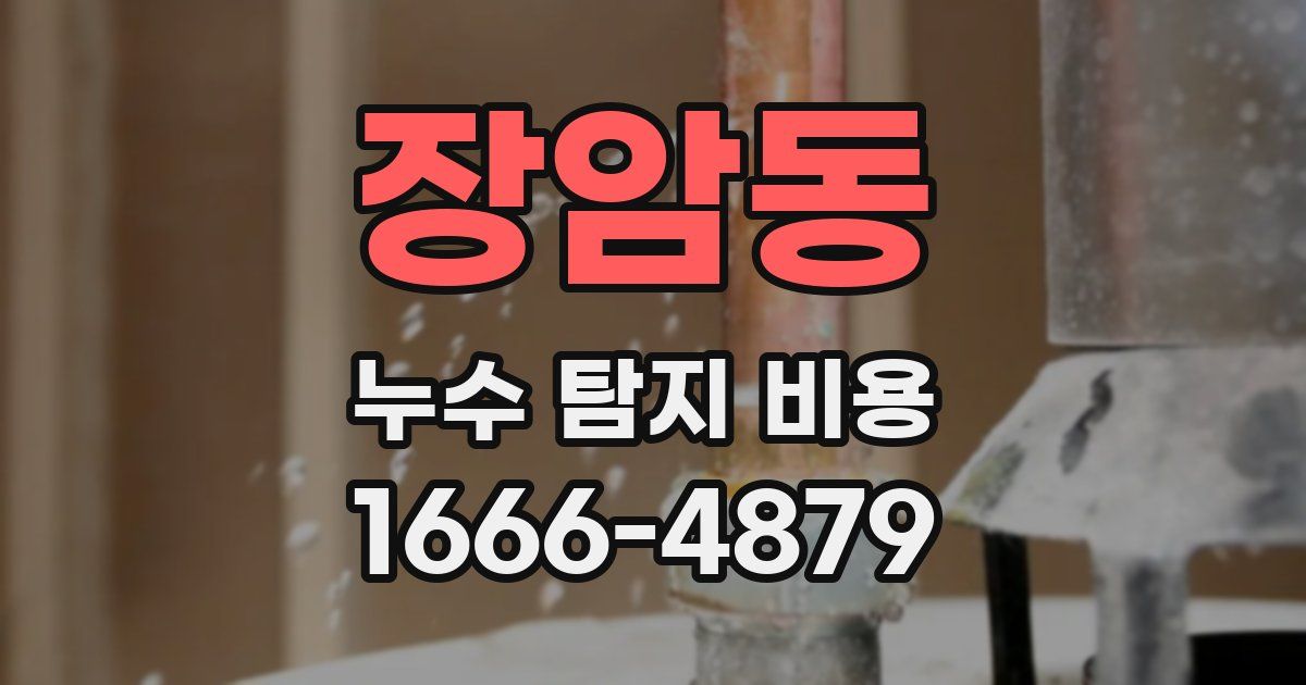장암동 누수 탐지 비용