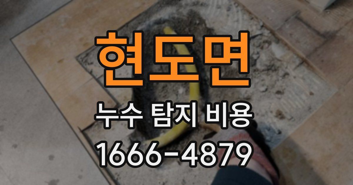 현도면 누수 탐지 비용