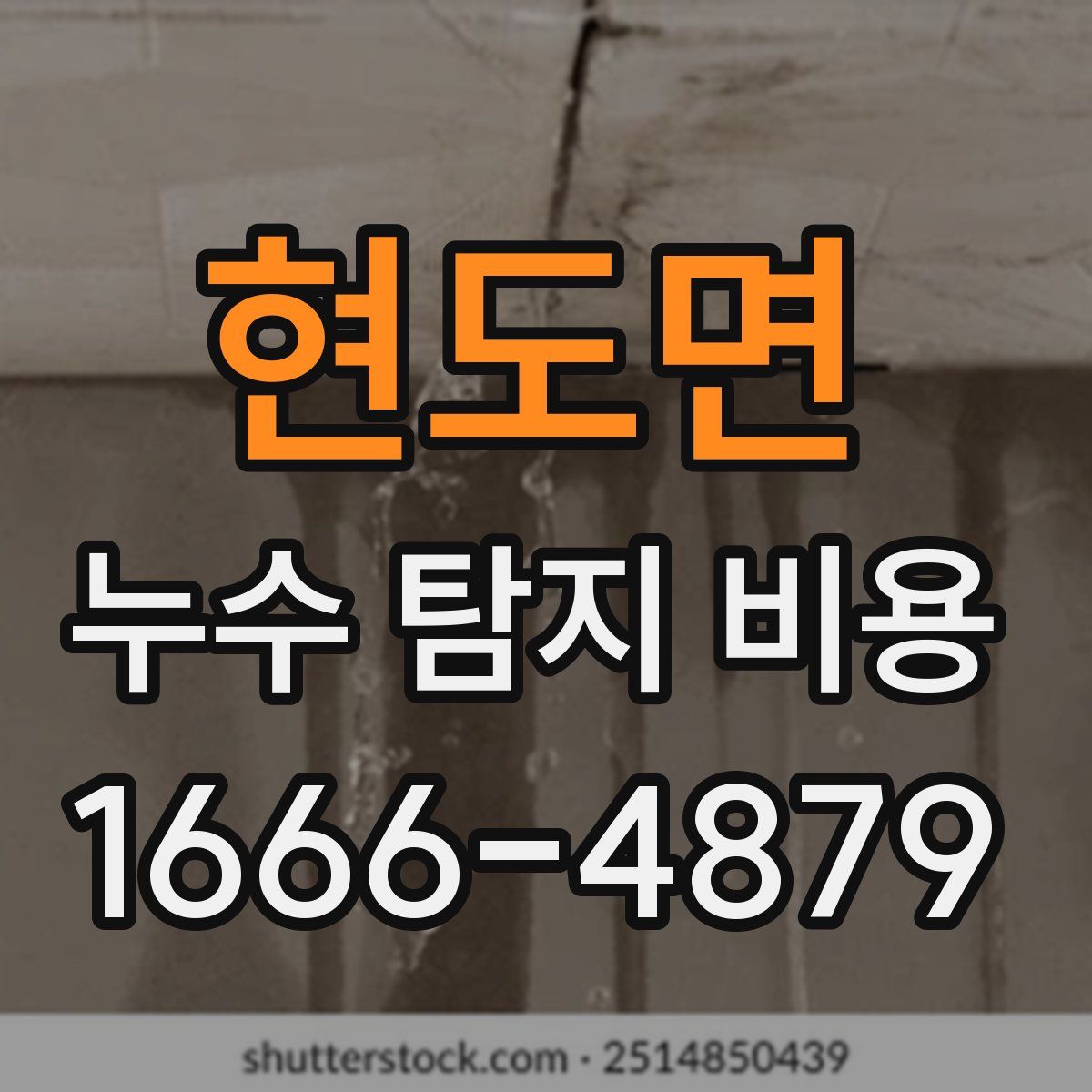 현도면 누수 탐지 비용