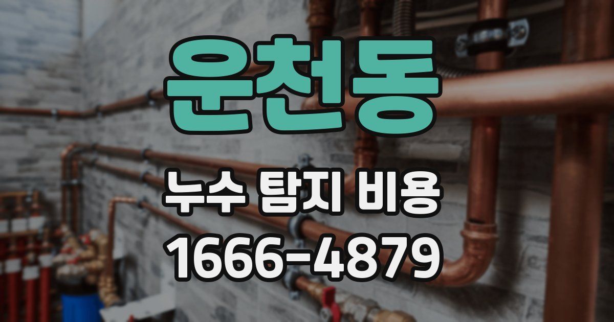 운천동 누수 탐지 비용