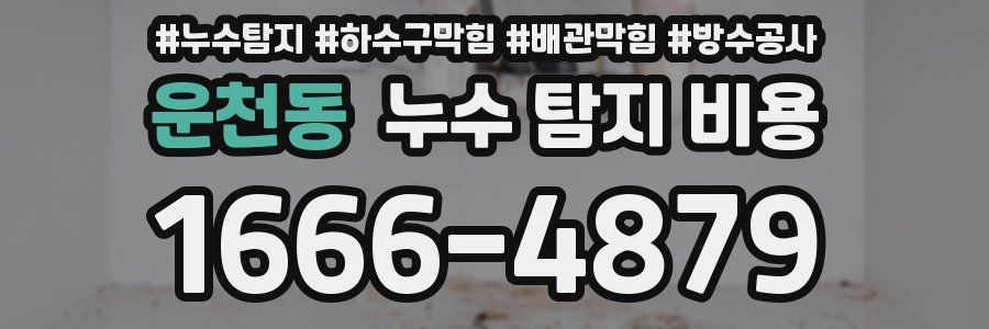 운천동 누수 탐지 비용