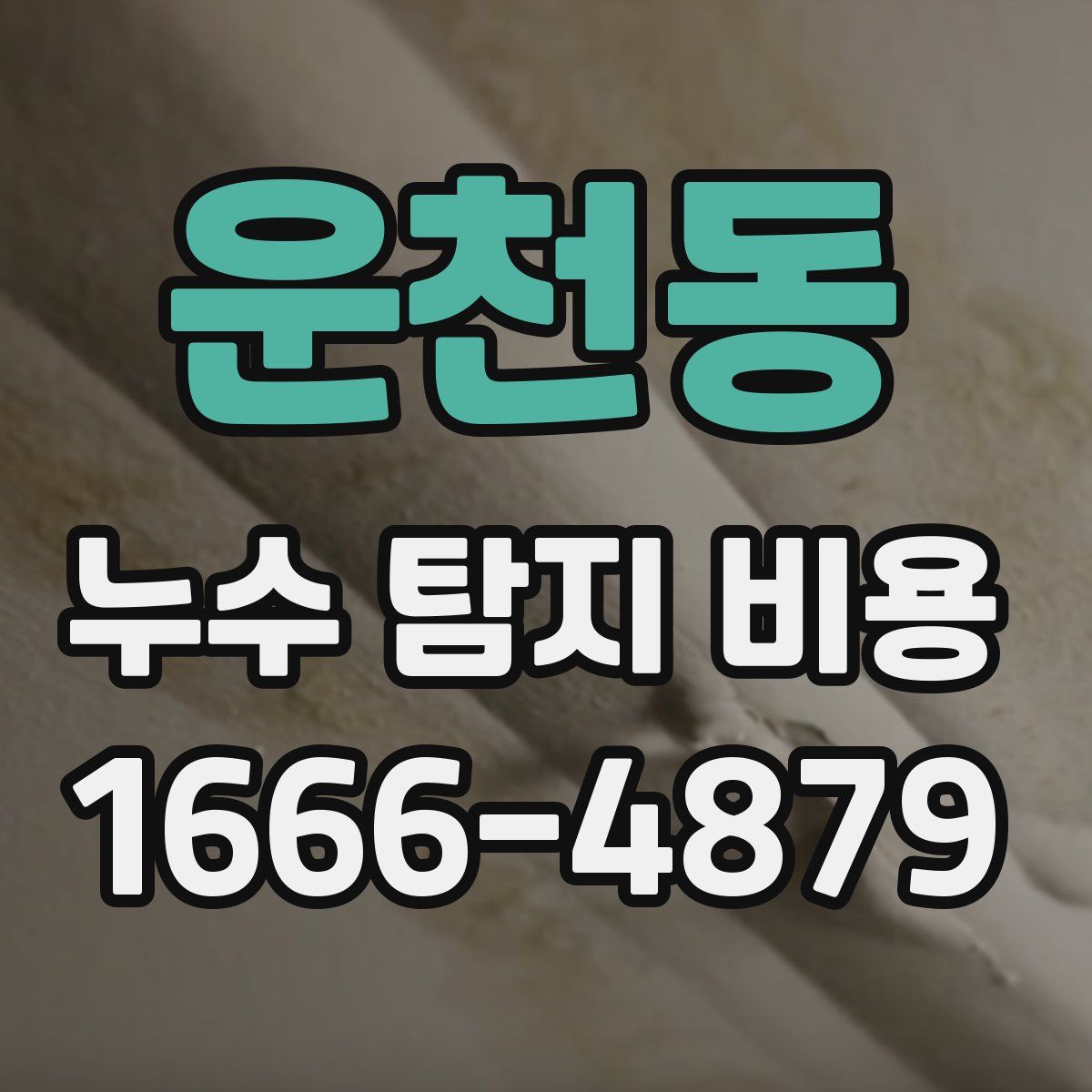운천동 누수 탐지 비용