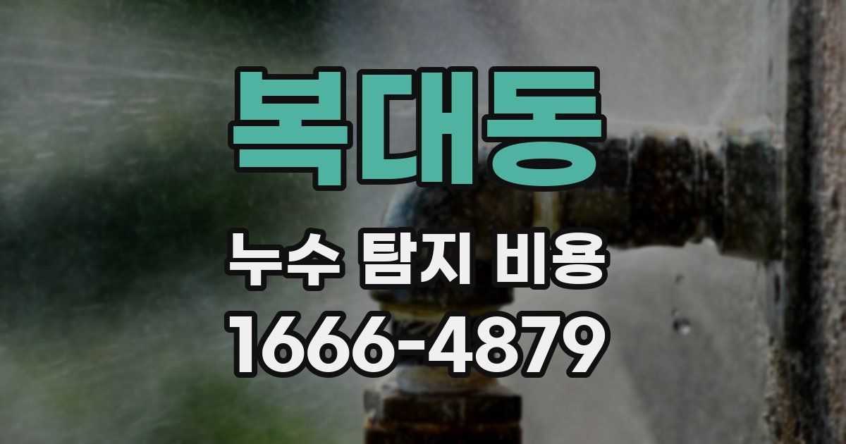 복대동 누수 탐지 비용