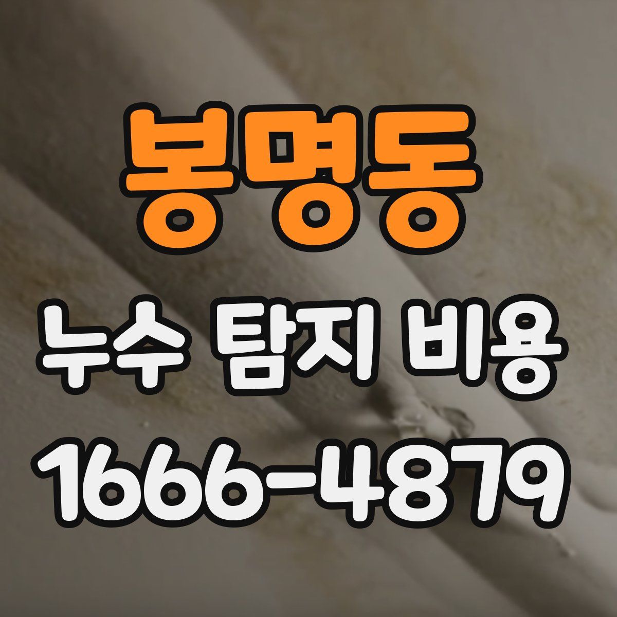 봉명동 누수 탐지 비용