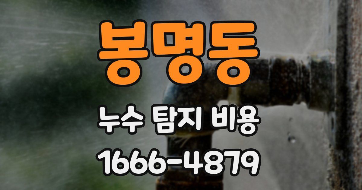 봉명동 누수 탐지 비용