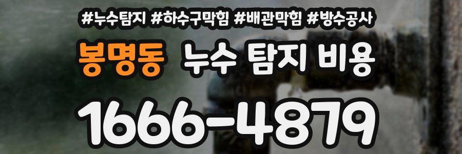 봉명동 누수 탐지 비용