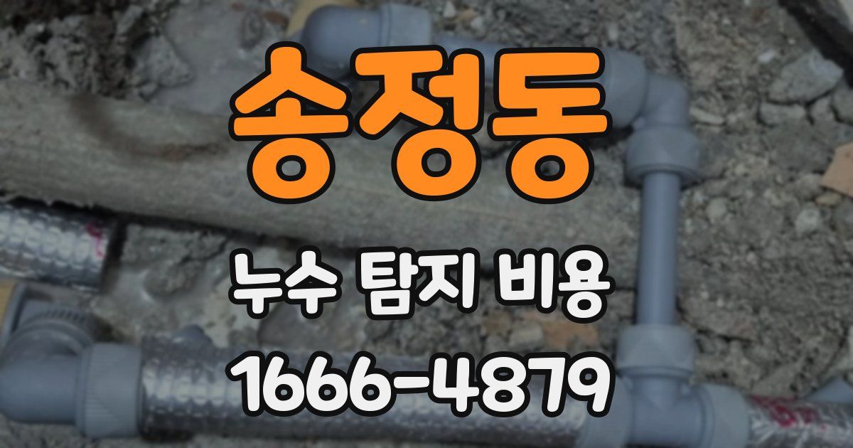 송정동 누수 탐지 비용
