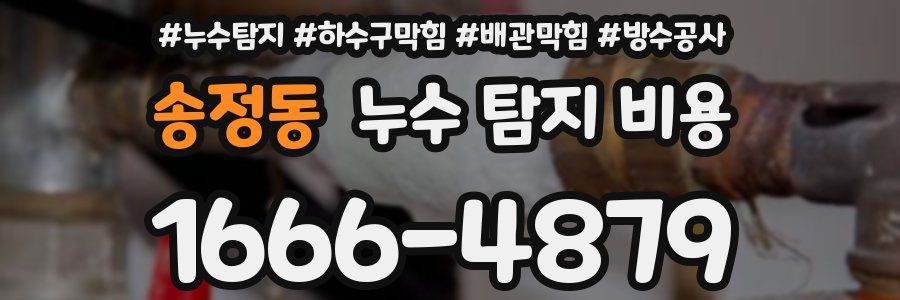 송정동 누수 탐지 비용