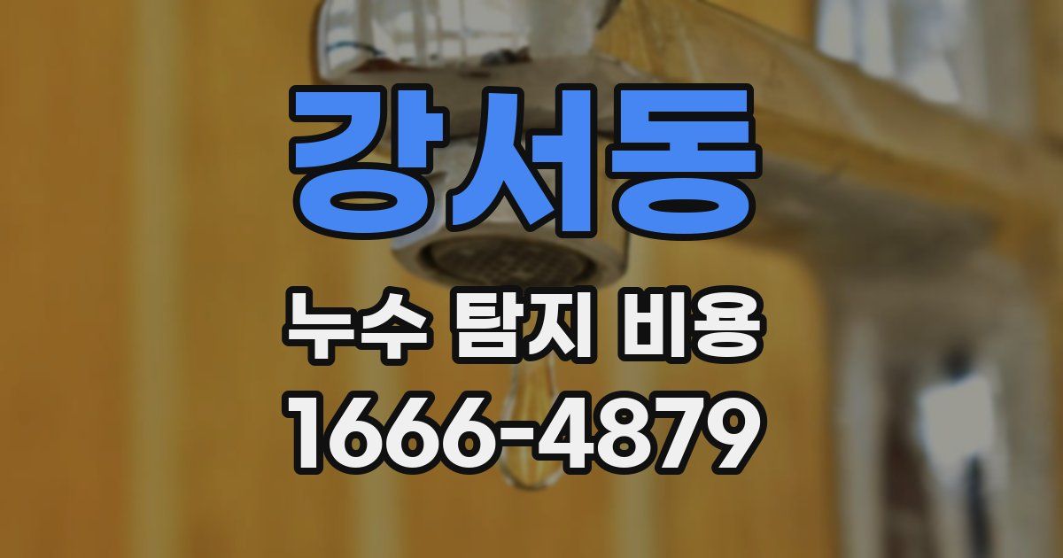 강서동 누수 탐지 비용