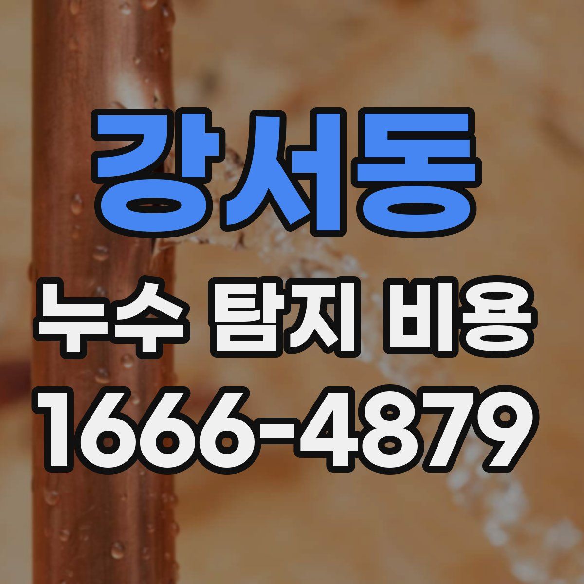 강서동 누수 탐지 비용