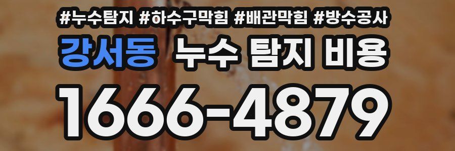 강서동 누수 탐지 비용