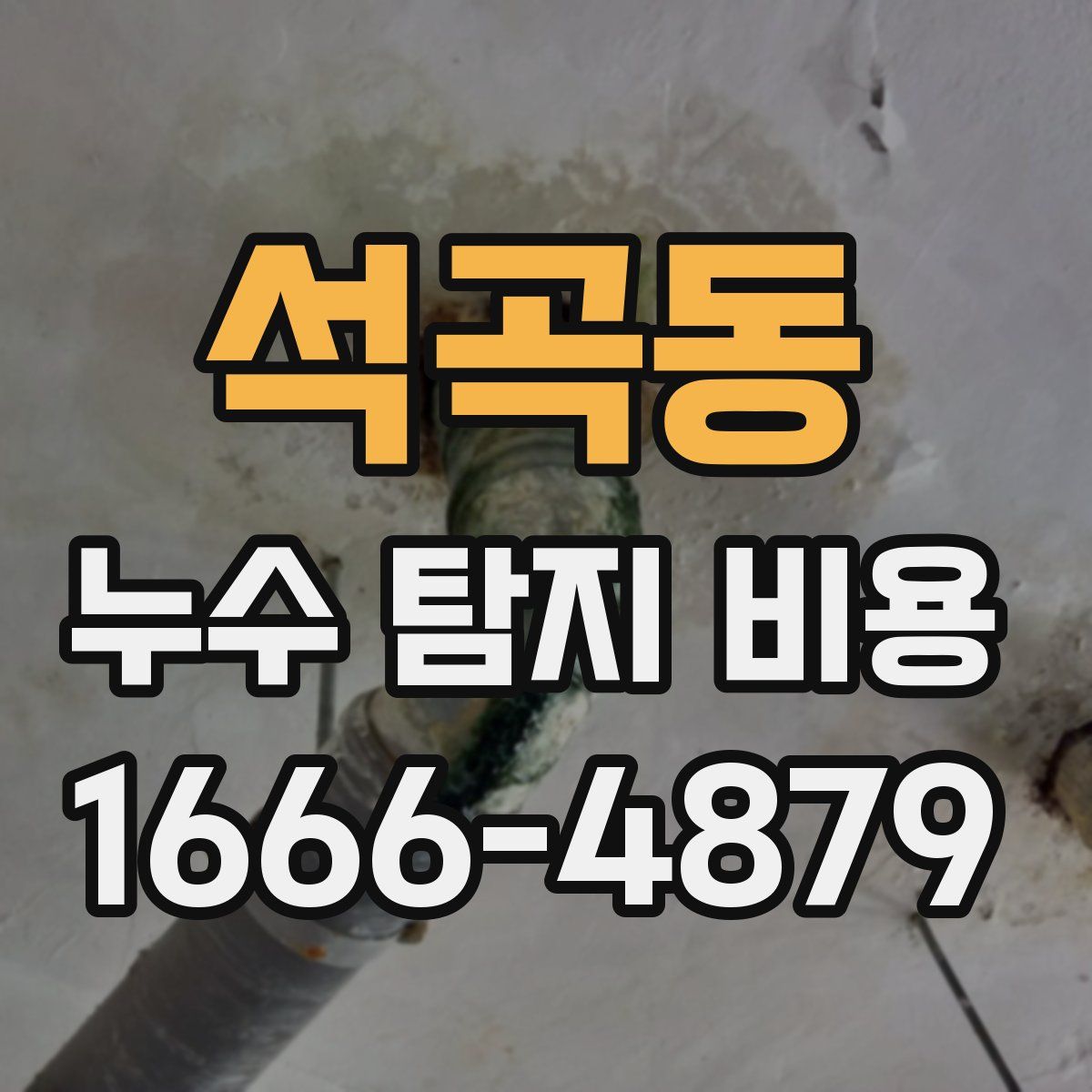 석곡동 누수 탐지 비용