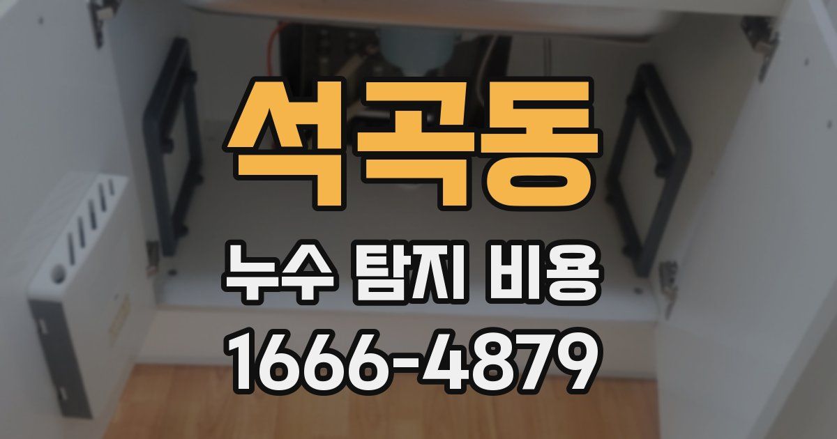 석곡동 누수 탐지 비용