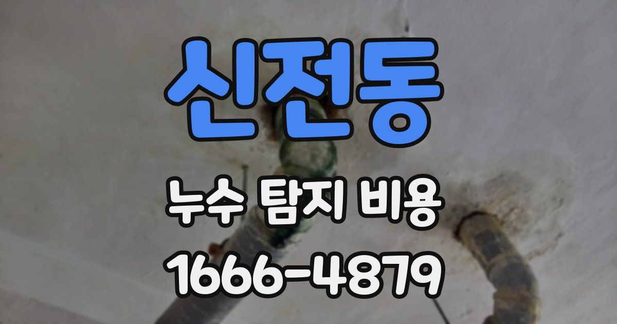 신전동 누수 탐지 비용