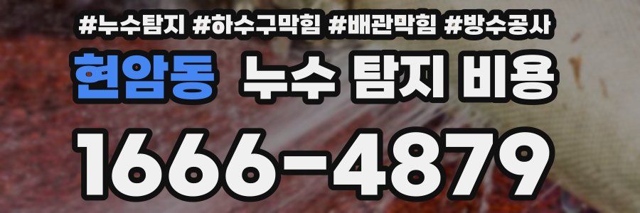 현암동 누수 탐지 비용