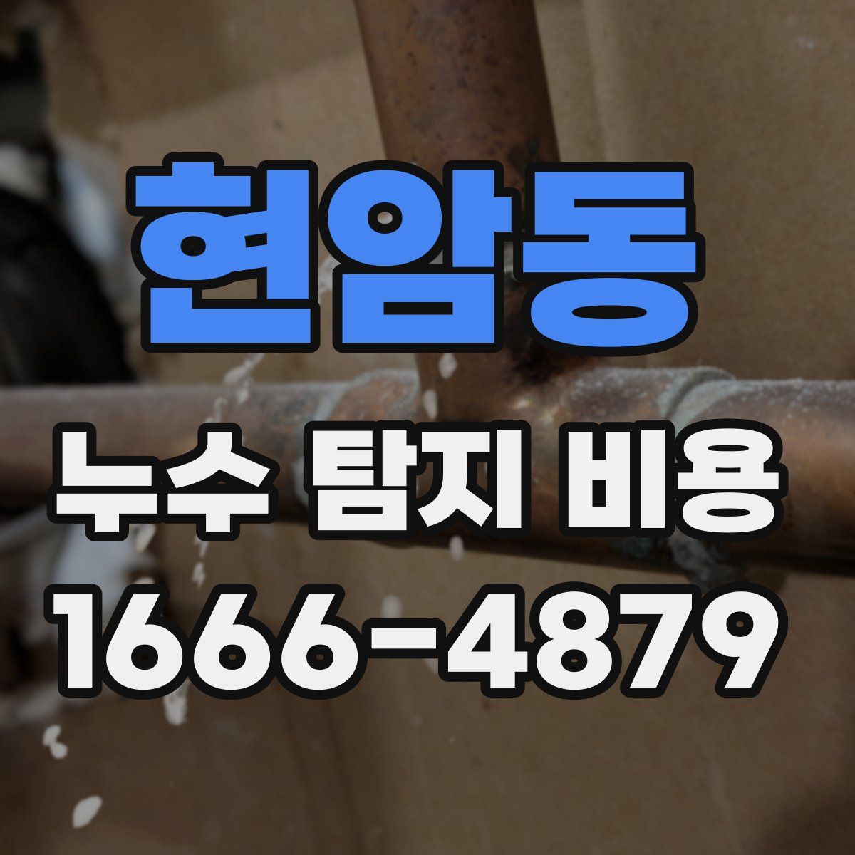현암동 누수 탐지 비용