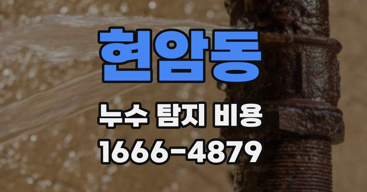 현암동 누수 탐지 비용
