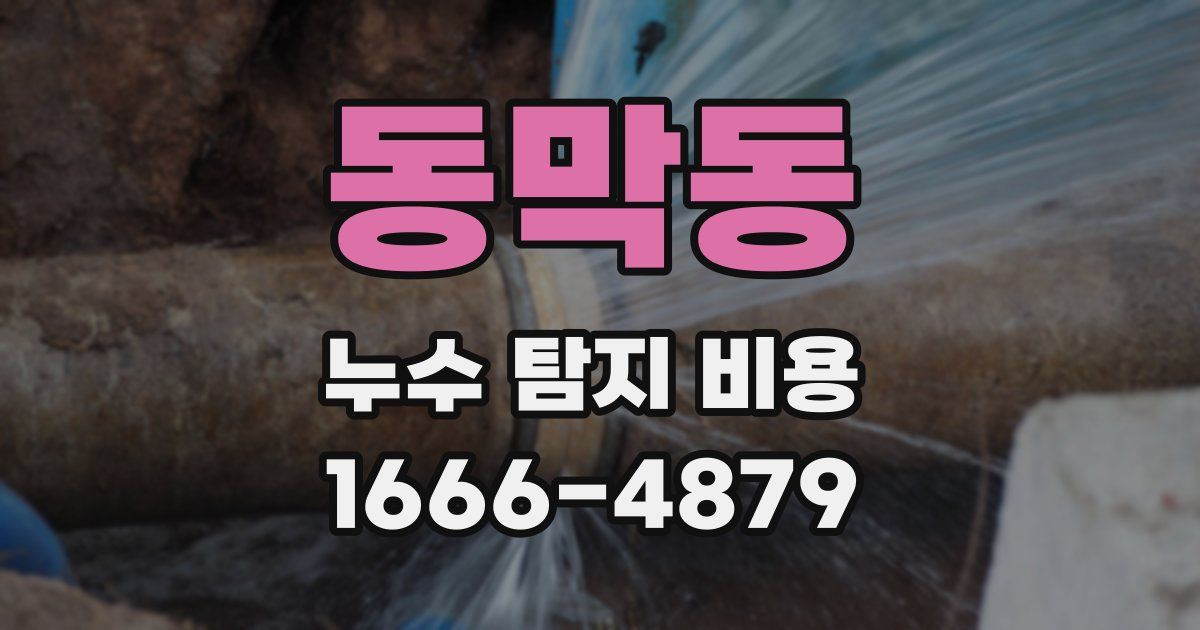 동막동 누수 탐지 비용